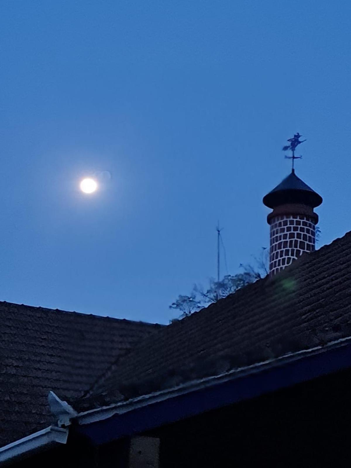 Casa Acucena No Sitio Gaia Magia Miguel Pereira Rj Hotell Exteriör bild