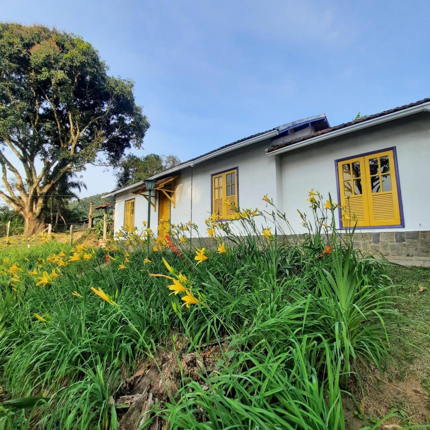 Casa Acucena No Sitio Gaia Magia Miguel Pereira Rj Hotell Exteriör bild