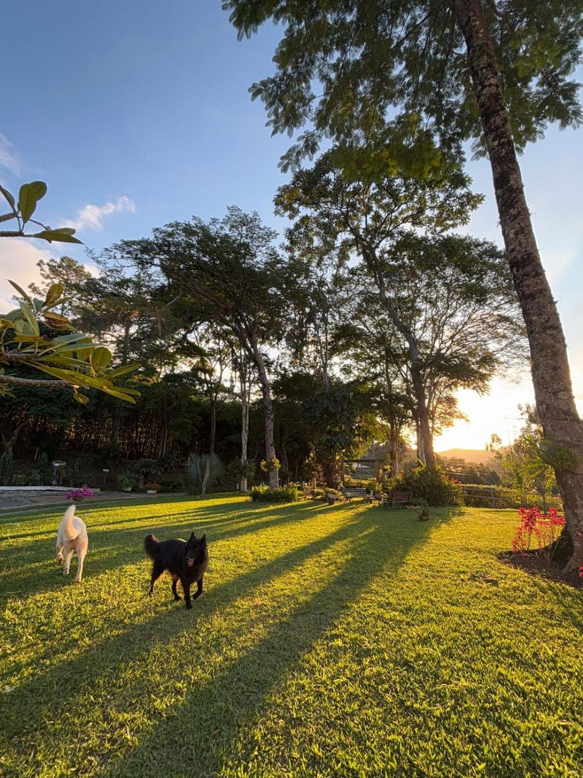 Casa Acucena No Sitio Gaia Magia Miguel Pereira Rj Hotell Exteriör bild